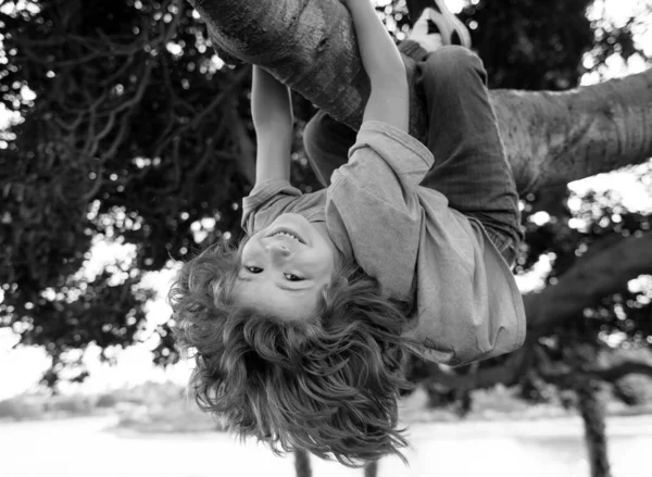 Gyerek Egy Faágon Kisfiú Felmászik Egy Fára — Stock Fotó