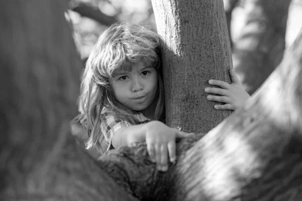 Маленький Блондин Залез Дерево Счастливый Ребенок Играет Саду Забираясь Дерево — стоковое фото
