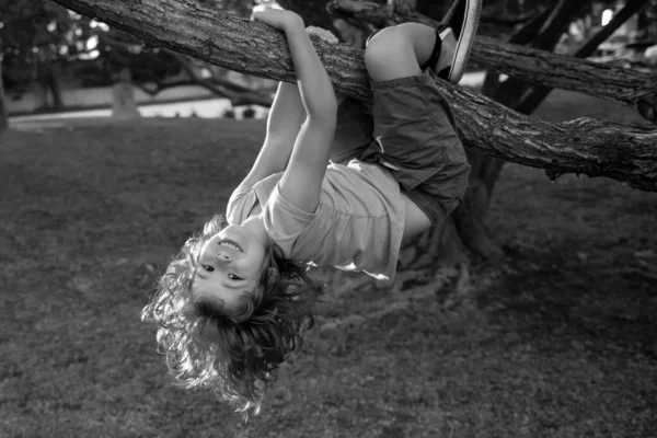アドベンチャーアクティビティパークで子供クライミング 保険の子供たち 子供のための健康保険の概念 医療保護 木に登ろうとしてる — ストック写真