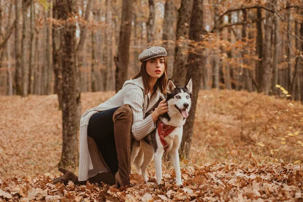 최고의 무조건적인 소녀는 허스키 산책을 있습니다 시베리아 허스키 좋아하는 동물입니다 — 스톡 사진