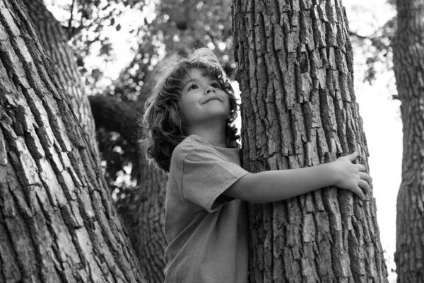 Mladý Chlapec Objímající Větev Stromu Chlapeček Větvi Stromu Dítě Leze — Stock fotografie
