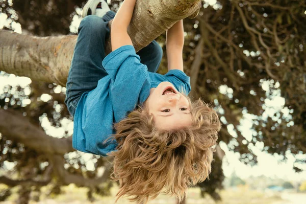 Детский Досуг Счастливые Дети Висят Вверх Ногами Дереве Веселятся Летнем — стоковое фото