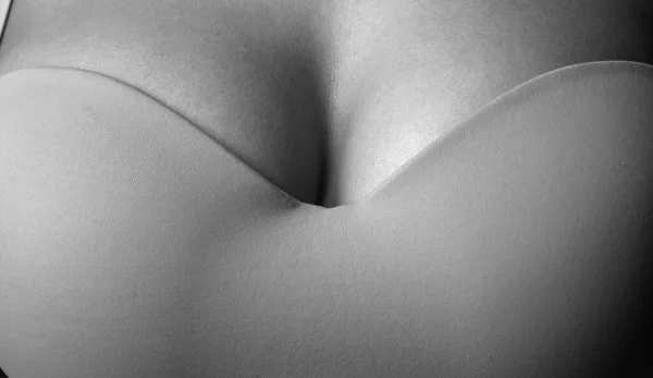 Lingerie Model Women Breasts Sexy Breas Boobs Bra Sensual Tits — Stockfoto