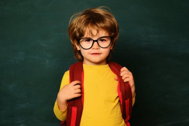 Mutlu okul çocukları. Eğitimsel süreç. Anaokulu öğrencisi. Öğrenci çocuk. Öğrenci çocuğu. Öğretmenler Günü 'ne dönelim.