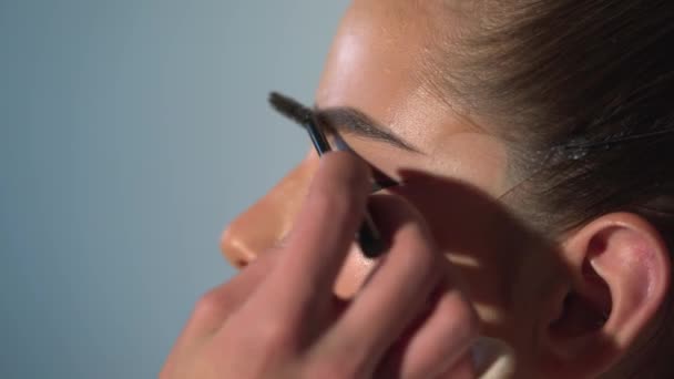 Artista Maquilagem Aplica Cosmético Visor Beleza Mão Mestre Maquilagem Lábios — Vídeo de Stock