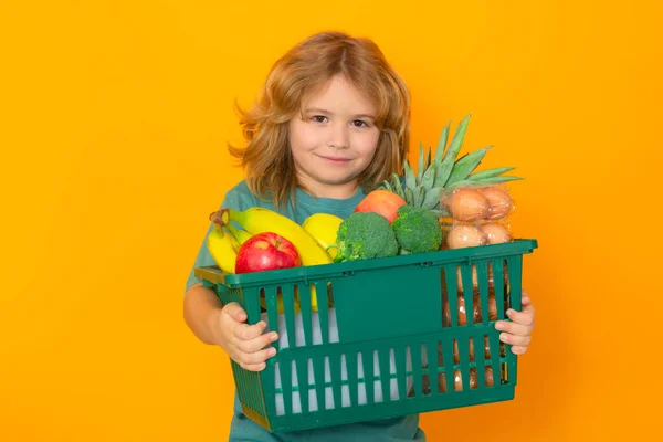 Shopping grocery. Child with shopping basket. Studio isolated portrait of cute kid hold shopping cart with grocery