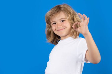 Hoş, gülümseyen bir çocuğun portresi, iyi bir jest, izole edilmiş bir stüdyo geçmişi var. Başarılı çocuk hareketi, mükemmel işaret, tamam jest. Mutlu çocuk, mutlu ve gülümseyen duygular