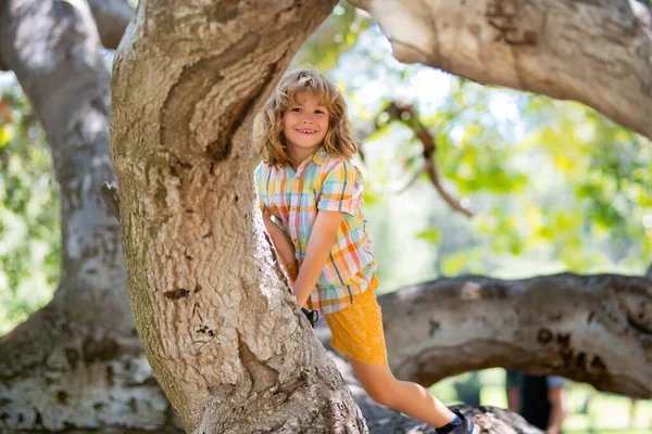 stock image Kid climbing on a tree branch outdoor