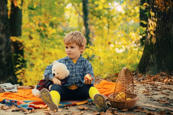 Красивый Маленький Мальчик Расслабиться Красоте Осенний Пейзаж Фоне Веселая Прогулка — стоковое фото
