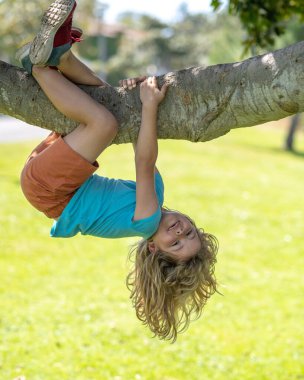 Child climbing a tree. Happy young boy play in summer garden. Kid on a tree with big branch