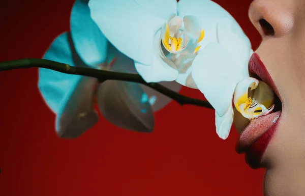蘭とセクシーな女性の唇 官能的な女性の口の中で蘭の花 — ストック写真