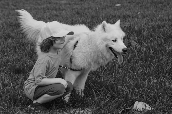 Gelukkig Kind Met Hond Gras Portret Kinderen Jongen Met Huisdier — Stockfoto