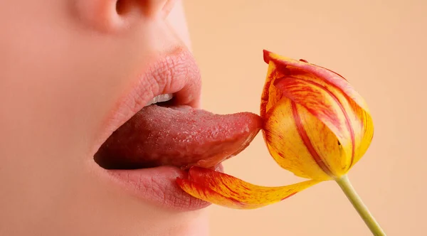 有天然口红的女性唇 性感女人的嘴 唇上有光滑的唇彩 一个年轻女人迷人的嘴唇 — 图库照片