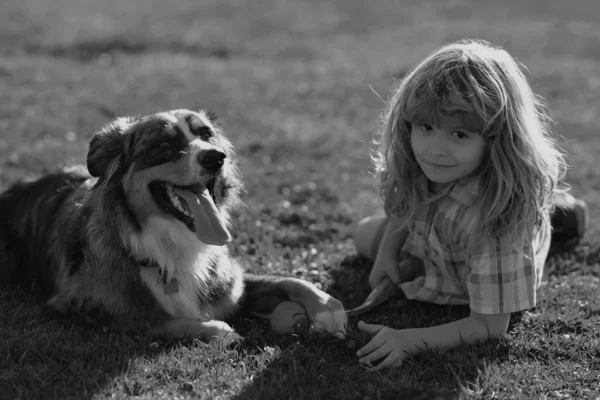 Schattig Kind Puppy Spelen Buiten Hond Kind Spelen Met Bal — Stockfoto