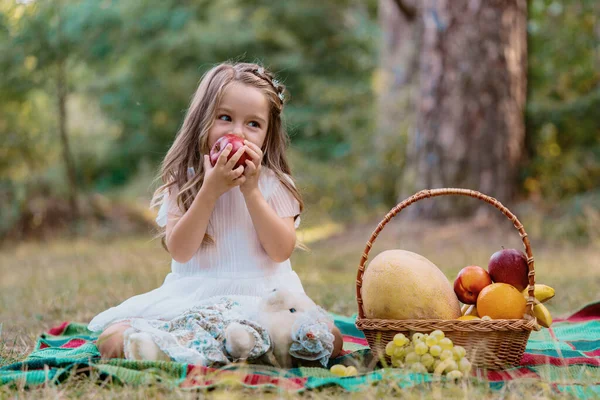 Παιδί Πικνίκ Στο Δάσος Τρώει Μήλο Παιδί Νήπιο Ηλιόλουστο Πάρκο — Φωτογραφία Αρχείου