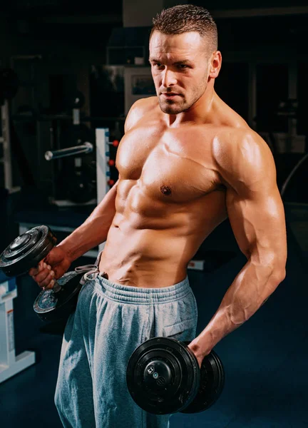 Athletic Men Exercise Weights Dumbbells Sporty Lifestyle Gym Workouts Attractive – stockfoto