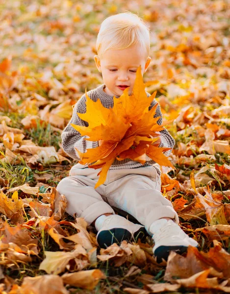 可爱的小女孩坐在公园的地面上 在一个阳光灿烂的秋天与秋天的树叶玩耍 季节外面用秋天的活动 寻找秋天的色彩 — 图库照片