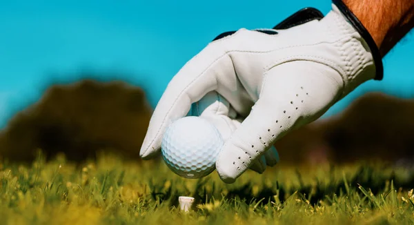 高尔夫球手 带着高尔夫球手套在高尔夫球场打球 手把高尔夫球放在高尔夫球场的球座上 — 图库照片