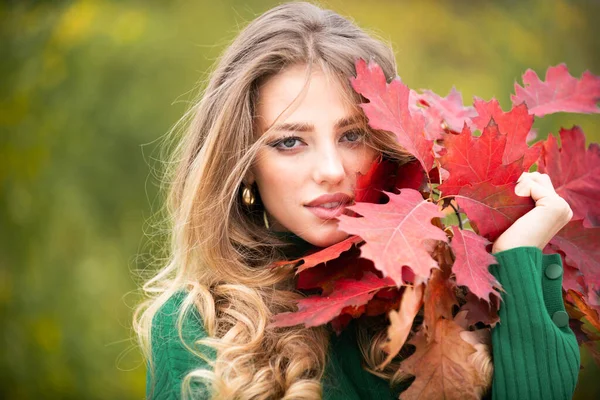 Herbstporträt Einer Fröhlichen Frau Mit Gelben Ahornblättern Porträt Der Schönheit — Stockfoto