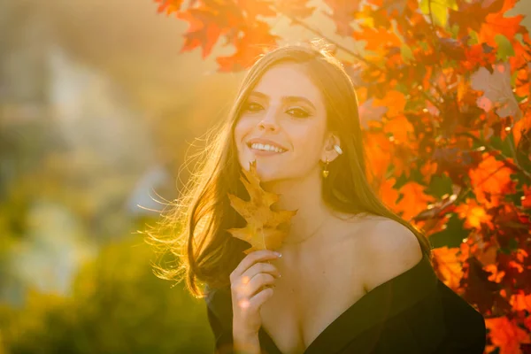 Осенью Портрет Молодой Женщины Осенними Листьями Листве Красивая Девушка Открытом — стоковое фото
