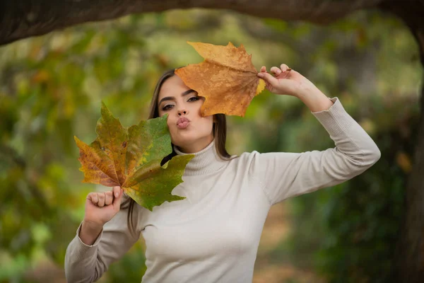 단풍잎을 초상화 단풍나무가 아름다운 모델입니다 가을에 날씨를 즐기는 — 스톡 사진