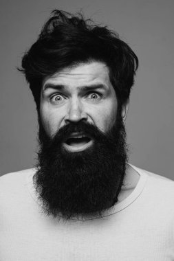 Şaşırmış yakışıklı adam. Şaşırmış erkek model, şaşırmış surat ifadesi, şaşırmış surat. Duygular insanlar konsepti. Gri arka planda poz veren sakallı hippi