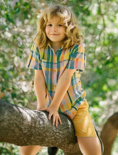 Çocuk Ağaç Dalına Tırmanıyor Çocuk Ağaca Tırmanır — Stok fotoğraf