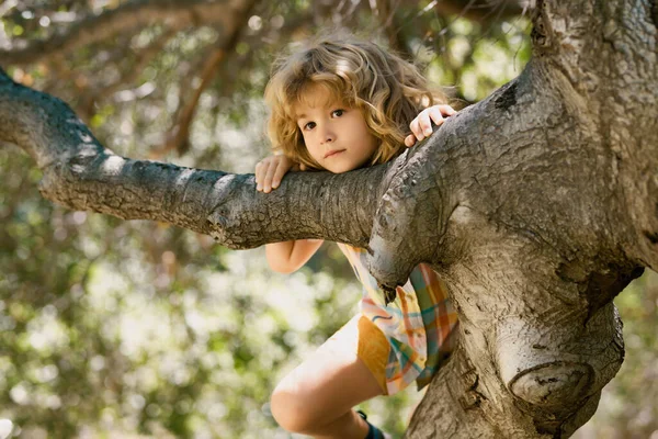 Дитина Обіймає Гілку Дерева Маленький Хлопчик Гілці Дерева Малюк Піднімається — стокове фото