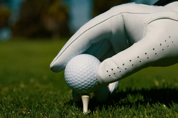 Golflabda Zöld Pályán Kézzel Tesz Golf Labdát Tee Golfpályán — Stock Fotó