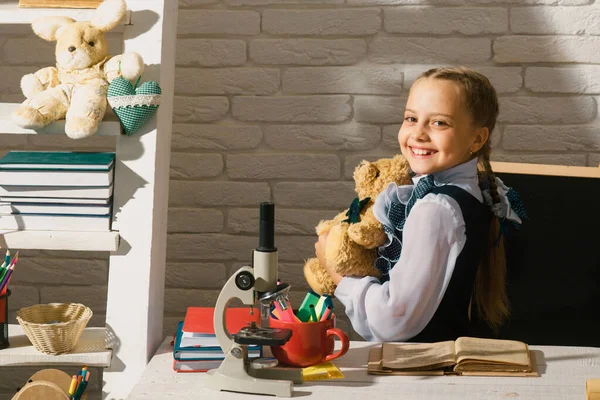 Flickan Håller Leksaksteddybjörnen Barnet Lär Sig Lektionen Elever Gör Sig — Stockfoto