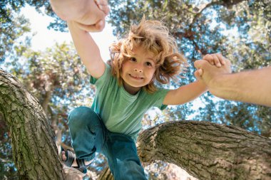 Babaların eli. Ağacın dalından oğluna yardım eden bir baba.