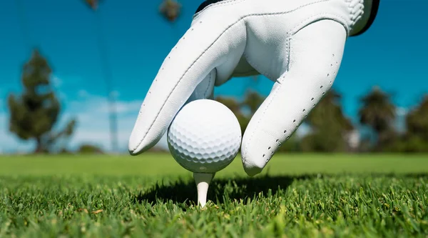 Golfball Auf Dem Grünen Platz Hand Setzt Golfball Auf Abschlag — Stockfoto