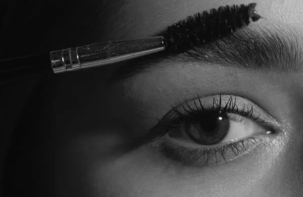 Augenbrauen Make Professionelle Pflege Für Brauen Färbung Und Laminierung Makro — Stockfoto