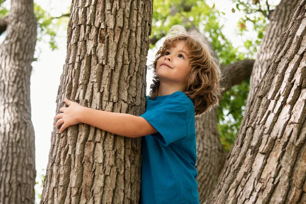 Portrait Cute Child Climbing Tree Park — Stock Photo, Image