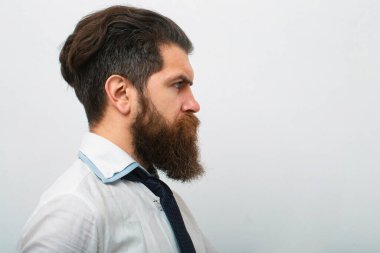 Gömlekli, kravatlı, not defteri ve kalem tutan bir iş adamı. Surious Man 'in yakın profili. Bir fikrim var. Notları düşünen çekici entelektüel iş adamının portresi.