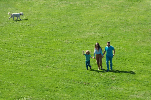 Vista Arial Pais Jovens Felizes Brincando Com Criança Fora Parque — Fotografia de Stock