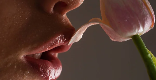 Sexy Volle Lippen Lippenglanz Und Frauenmund Sinnliche Lippen — Stockfoto