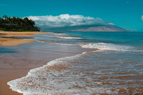 ハワイの自然景観 透き通った海にヤシの木があるトロピカルビーチ — ストック写真