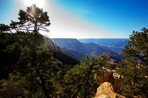 Landscape Grand Canyon Panoramic View National Park Arizona — Photo