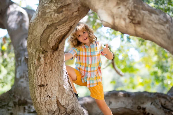Děcko Lezení Větvi Stromu Venkovní — Stock fotografie