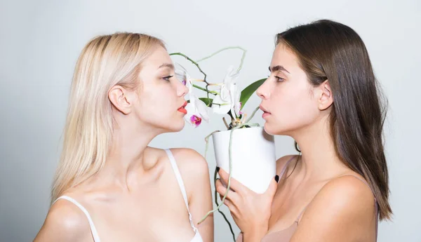 Sexy Modellen Verliefd Schoonheidsportret Van Jonge Lesbische Paar Vrouwen Lesbisch — Stockfoto