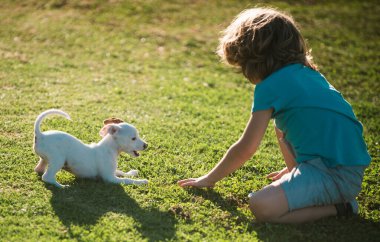 Çocuk köpek yavrusunu barınaktan aldı. Evlatlık hayvan. Küçük sevimli evcil hayvan evini buldu. Minnettar bir şekilde bir oğlanın yüzünü yalıyor. Mutlu çocuk duyguları konsepti
