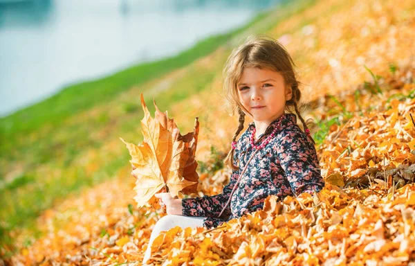 Kislány Játszik Őszi Levelek Parkban — Stock Fotó