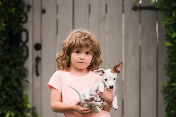 Puppies Child Outdoor Kid Boy Carries Little Dog Tender Emotions — Stock Photo, Image
