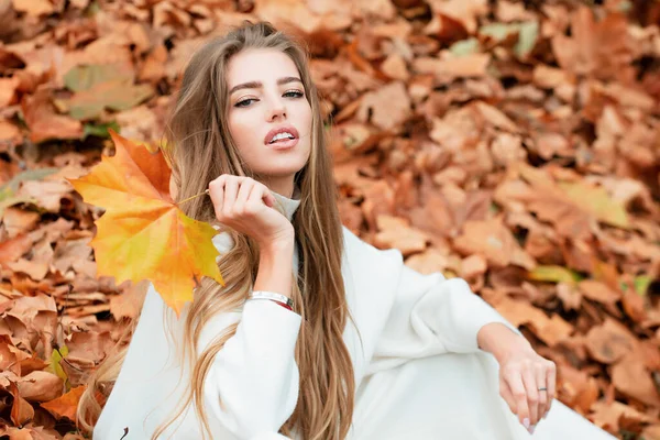 Beleza Outono Mulher Moda Wodel Com Queda Folha Bordo Livre — Fotografia de Stock