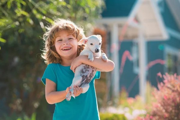 Leuke Jongen Knuffel Puppy Gelukkig Kind Wandelen Met Een Hond — Stockfoto