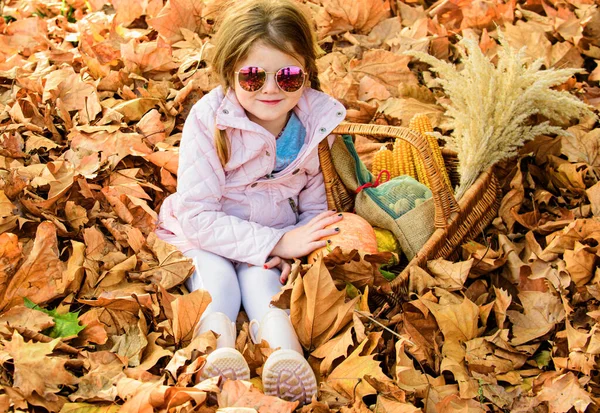 Sonbahar Çocukları Moda Sonbahar Sarısı Yapraklı Küçük Kız Açık Hava — Stok fotoğraf