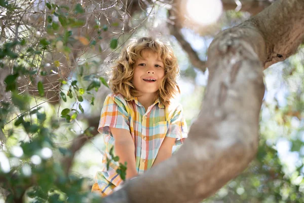Funny Child Climbing Tree Garden Active Kid Playing Outdoors Portrait — 스톡 사진