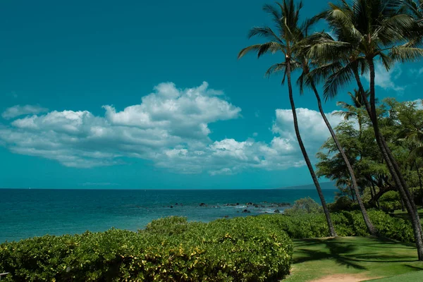 Natuur Landschap Hawaï Tropisch Strand Met Palmbomen Kristalheldere Zee — Stockfoto