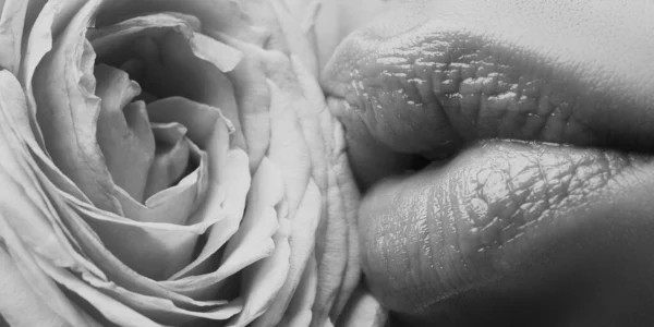 Banner Από Χείλη Ροζ Κραγιόν Closeup Όμορφη Γυναίκα Χείλη Τριαντάφυλλο — Φωτογραφία Αρχείου